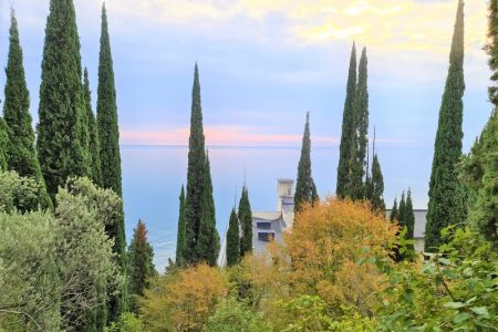 Территория